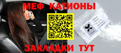 прущие грибы Краснознаменск