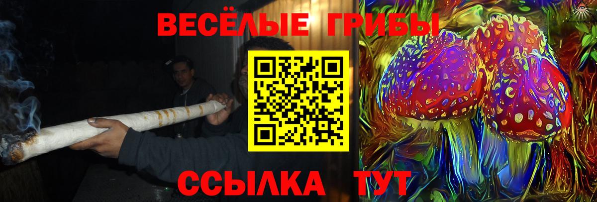 Керчь  Псилоцибиновые грибы Psilocybe  Псилоцибиновые грибы Cubensis  Вход с VPN 