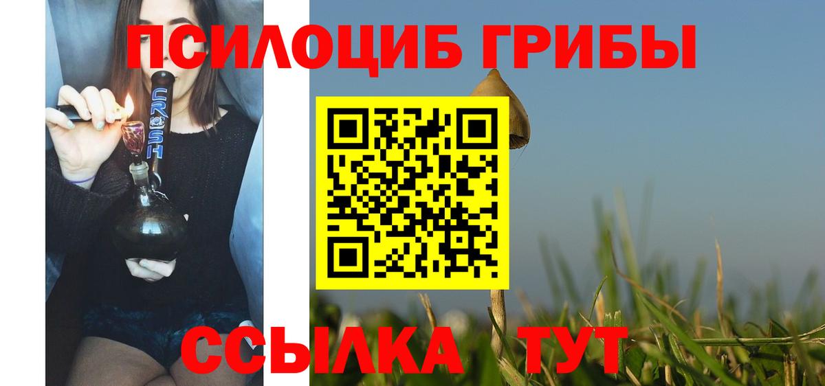 Галлюциногенные грибы мицелий Керчь